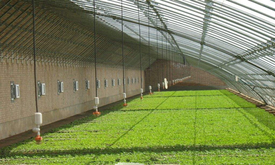 溫室大棚改用空氣源熱泵供暖，既經(jīng)濟又省心