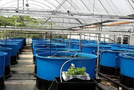 水產(chǎn)養(yǎng)殖用水源熱泵，恒溫冷暖兩用，耗電低