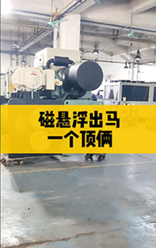 磁懸浮出馬，一個(gè)頂倆！